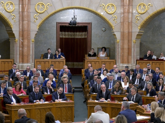 A TASZ és a K-Monitor mellett a Mi Hazánk kérésére a Magyarok Világszövetsége is segítheti a vagyonvisszaszerző hivatal felállítását