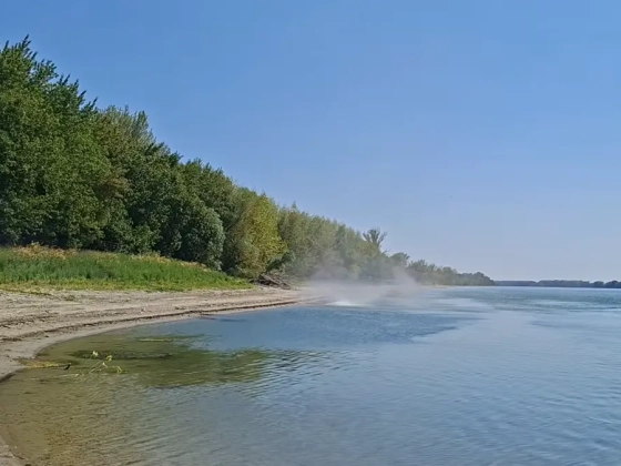 Rare ‘water devil’ filmed on the Danube in Hungary – video