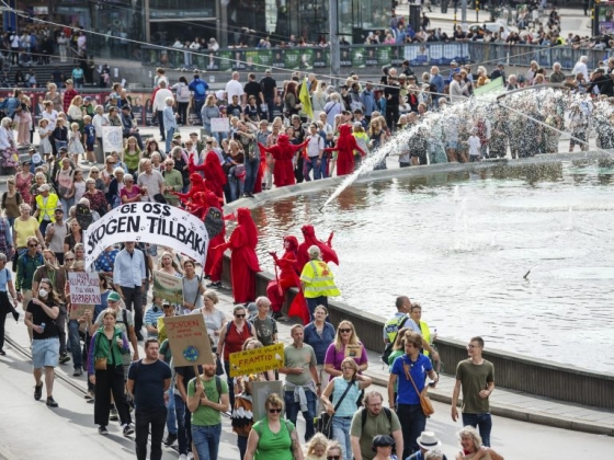 A klímavédelem fokozásáért tüntettek Stockholmban, Greta Thunberg is felszólalt