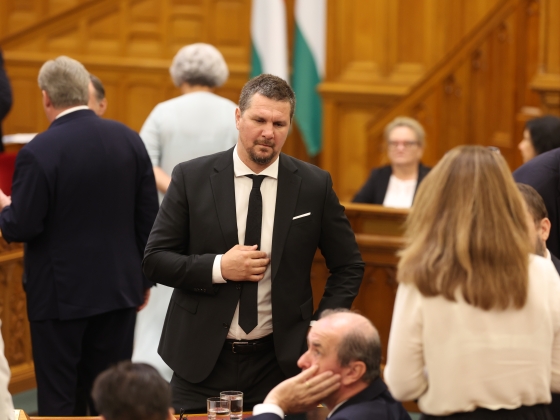 Nagy Ervin: "A nemzet bajusza úgy tud gyűlölni, mint senki más"