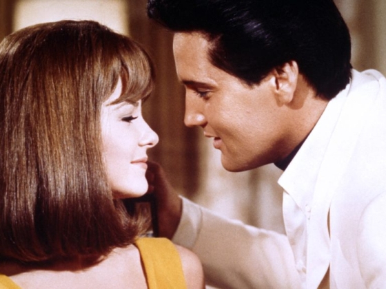 Meghalt Shelley Fabares, Elvis Presley filmjeinek egyik visszatérő főszereplője