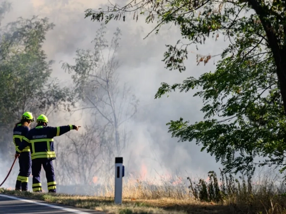 Izgalmat akart az osztrák tűzoltó, ezért gyújtogatott Burgenlandban