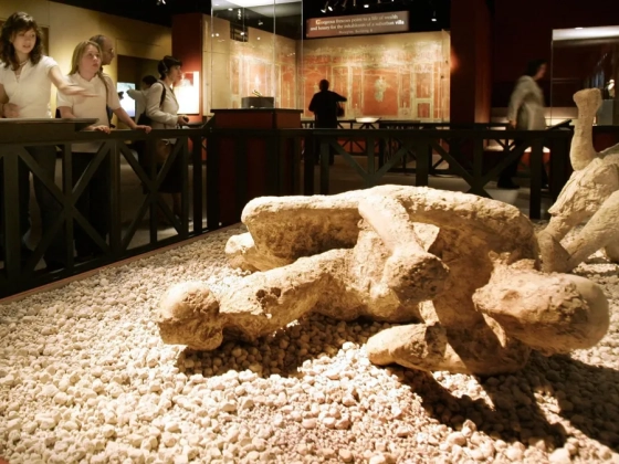 Pompeji utolsó napja: döbbenetes titkokat rejt a Vezúv hamuja – Galéria
