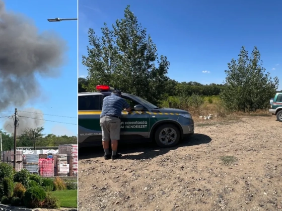 Lezuhant Gripen: 