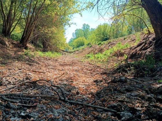 „A műtét sikerült, de a beteg meghalt” – indulatos bejegyzést közölt a Bükki Nemzeti Park