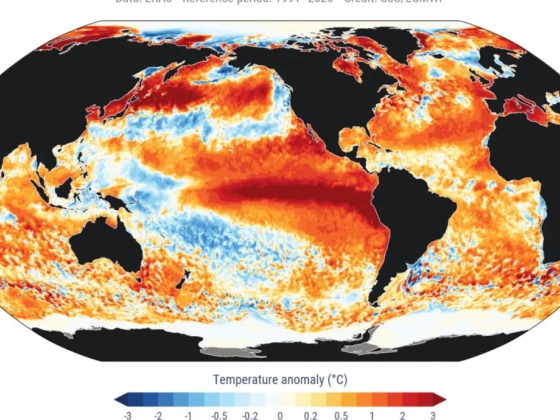 Megdőlt a világ óceánjainak melegrekordja, és ez nagyon rossz előjel a bikaerős El Niño előtt