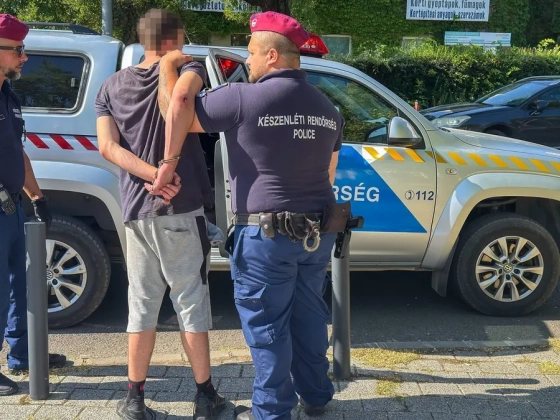 Rendőrségi razzia Budapesten: több mint 11 ezer embert igazoltattak, százakat fogtak el 30 nap alatt