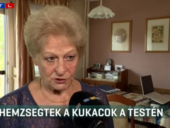 Kukacok hemzsegtek a beteg testén a Jahn Ferenc Kórházban