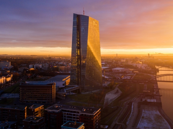 Bemondta a következő lépést az EKB döntéshozója