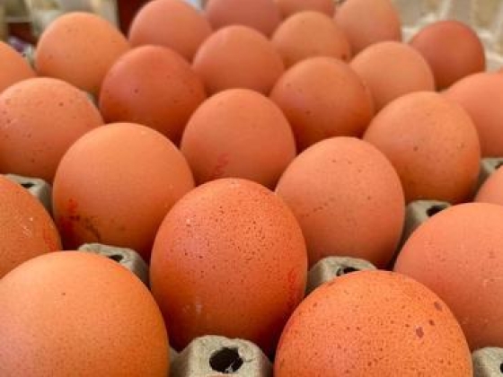 Örülhetnek a vásárlók: nagyot zuhant az egyik alapélelmiszer ára