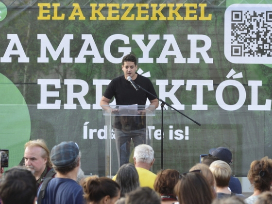 Egy igazi zöldnek csak a parlamenten kívül van élet
