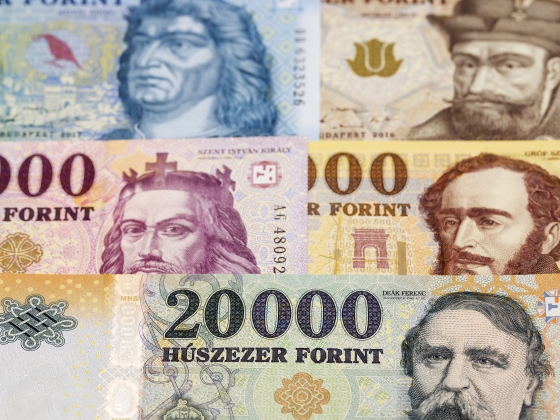 Melyik diplomával lehet a legtöbbet keresni? Ezzel a szakmával közel egymillió forintos lehet a fizetése