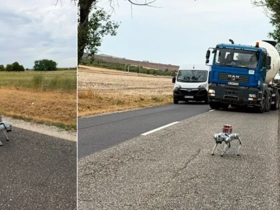 Videón a bizarr eset: elszökött robotkutya állította meg a forgalmat Szikszónál
