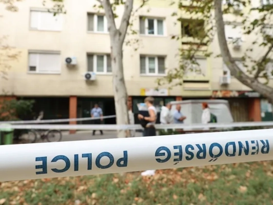 Elvehetik a tizedikről kizuhant kisfiú testvérét a szülőktől