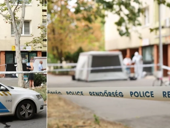 „Csak a kétségbeesett kiáltozásra mentem ki” – kizuhant egy kisfiú a tizedikről, így emlékeznek a szegedi tragédia szemtanúi