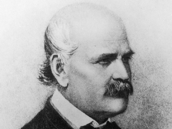 Kitalálja, hány Semmelweis-leszármazott gyógyít ma a Semmelweis Egyetemen?