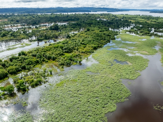 Rég látott fordulat a brazil inflációban