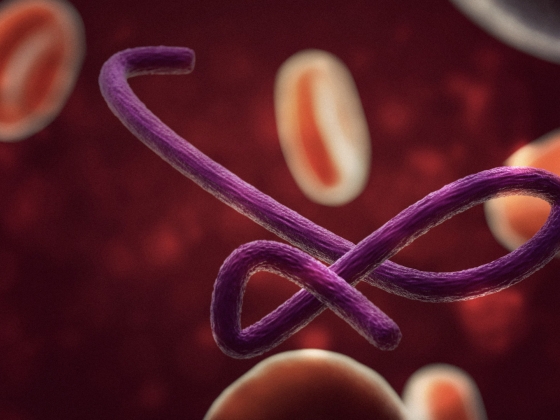 Véget ért az ebolajárvány Ugandában