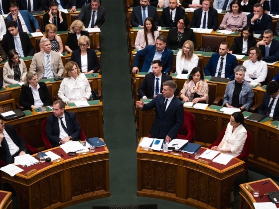 Tűzifaáfa, Médiatanács, Alkotmánybíróság: ezekről dönt a parlament