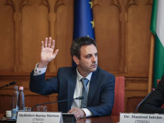 Egyedül a tiszás Melléthei-Barna Márton szavazott nemmel Unger Anna jelölésére a vagyonvisszaszerzési hivatal élére