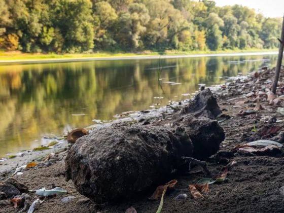 Itt vannak a számok: ennyi bomba került eddig elő a Dunából az aszály miatt