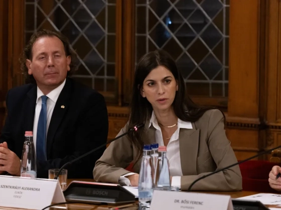 Szentkirályi az augusztus 20-i közbeszerzésről: Az új ÁVH első korrupciós vizsgálatának tárgya ezzel meg is lehet