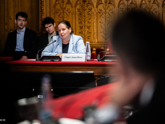 Unger Anna kiválasztása ágyaz meg a délutáni parlamenti tűzpárbajnak
