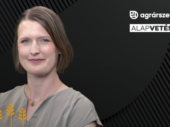 A hód megoldaná ingyen, de mi inkább milliókat költünk a vízmegtartásra