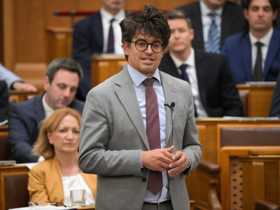 Velkey György: Szégyen és gyalázat!