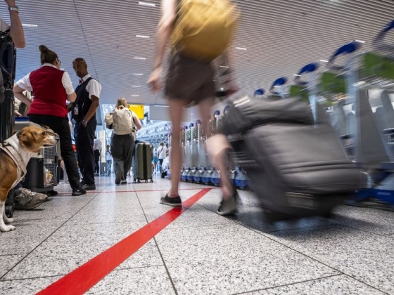 Maláriát terjesztő szúnyogok jutottak be Németországba egy repülővel, két reptéri dolgozó meghalt