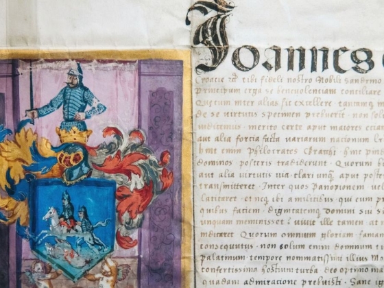 Mohács 500
