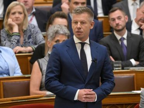 Magyar Péter kirúgatná Pócs Jánost a parlamentből