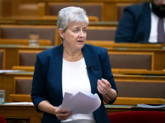 Lannert Juditék azt kérik, intézményenként legalább a pedagógusok 80 százaléka végezzen el egy gyors képzést az anafilaxiás sokkról