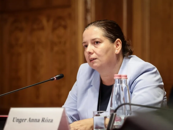 Megválasztották Unger Annát a Nemzeti Vagyonvisszaszerzési és Vagyonvédelmi Hivatal vezetőjének