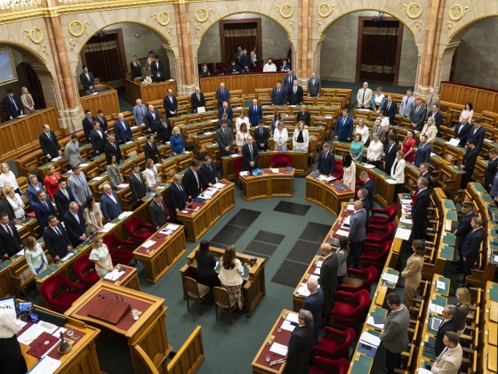 Magyar Péter a mohácsi csata emlékével húzta ki a Rongyos Gárda méregfogát