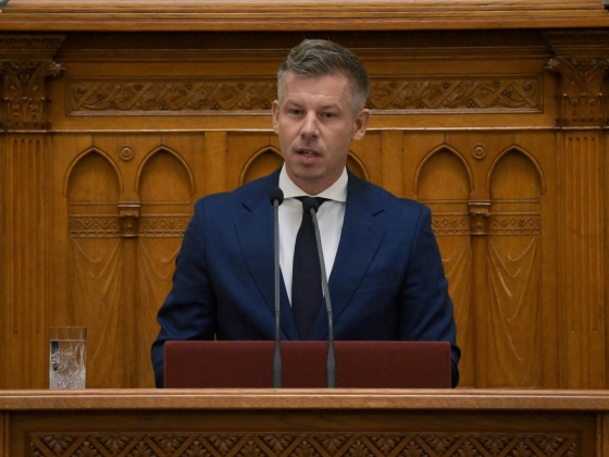 Magyar Péter: valószínűleg Tasnády Katalin lesz a korrupcióellenes hivatal legfontosabb vezetője