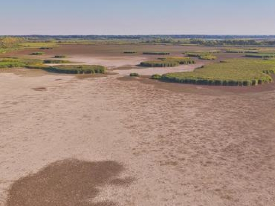 Apokaliptikus vízhiány: elfogyott a Tisza-tó hasznosítható vízkészlete