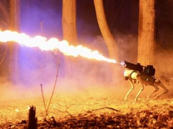 Sokkolókesztyű után robotkutyákat is bevet az ICE: újabb milliós beszerzés a bevándorlók ellen