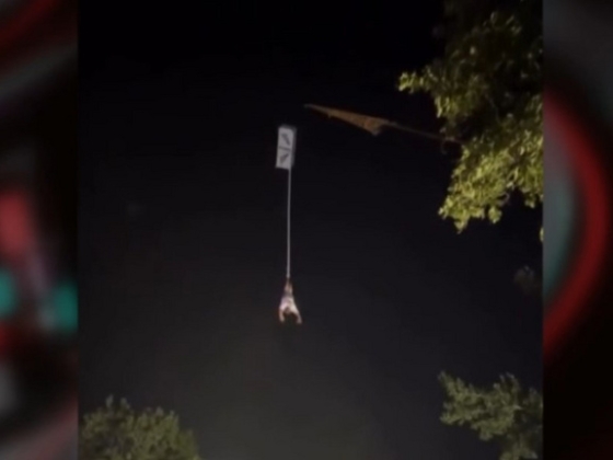 Ijesztő baleset a SZIN-en: bungee jumpingozás közben a nyaka köré tekeredett a kötél egy fesztiválozónak