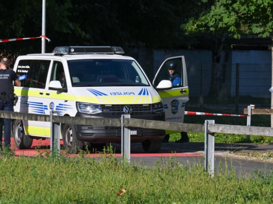 Lövöldözés tört ki egy svájci rave-partin, hajtóvadászat indult az elkövető után