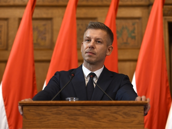 Magyar Péter: ha mindig a közvélemény döntene a kinevezésekről, akkor az ország kormányozhatatlanná válna