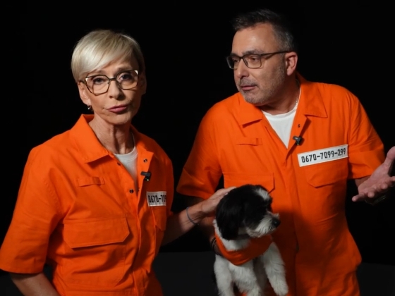 "Karcsika farvizén elég jól elvoltunk" – Sváby Andráséknak sokat segített, hogy kutyával vágtak neki a Most Wantednak