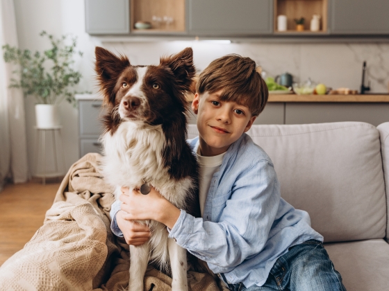 Az állatorvos intelme: Nem ajánlom, hogy gyermekek mellett tartsanak border collie-t, mert az állat stresszes lehet