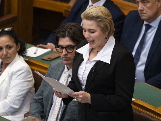 Négyből négy települést behúztak a Tisza által támogatott jelöltek az időközi önkormányzati választáson