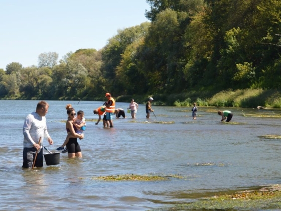 Mamutcsont és ezüstpénz is előkerült a sekély Tisza medréből
