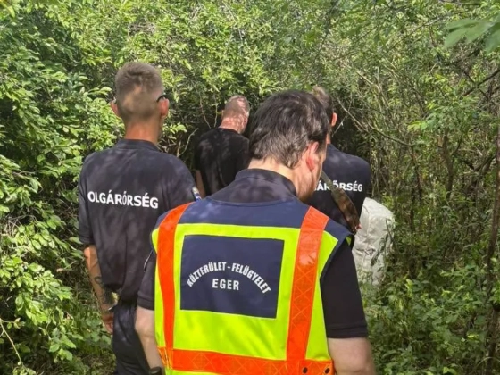 Szomjazó sünit mentettek az egri polgárőrök, fotó készült a megható pillanatról