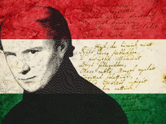 Tarr Zoltánnak címzett nyílt levél mutatott rá a hazai kultúrális élet legfájóbb hiányosságaira