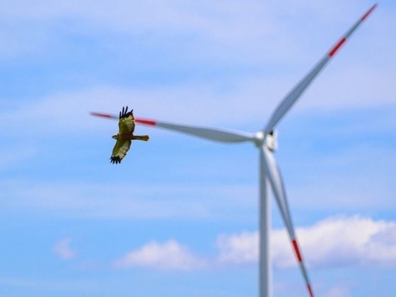A szemünk előtt jön létre egy energetikai óriás Magyarországon – hacsak a Tisza-kormány meg nem fúrja
