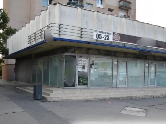 Tinikből álló banda randalírozott Szolnokon, több járókelőt is megvertek