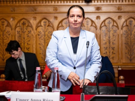 Unger Anna nyilvánosságra hozná NVVH-s pályázatát